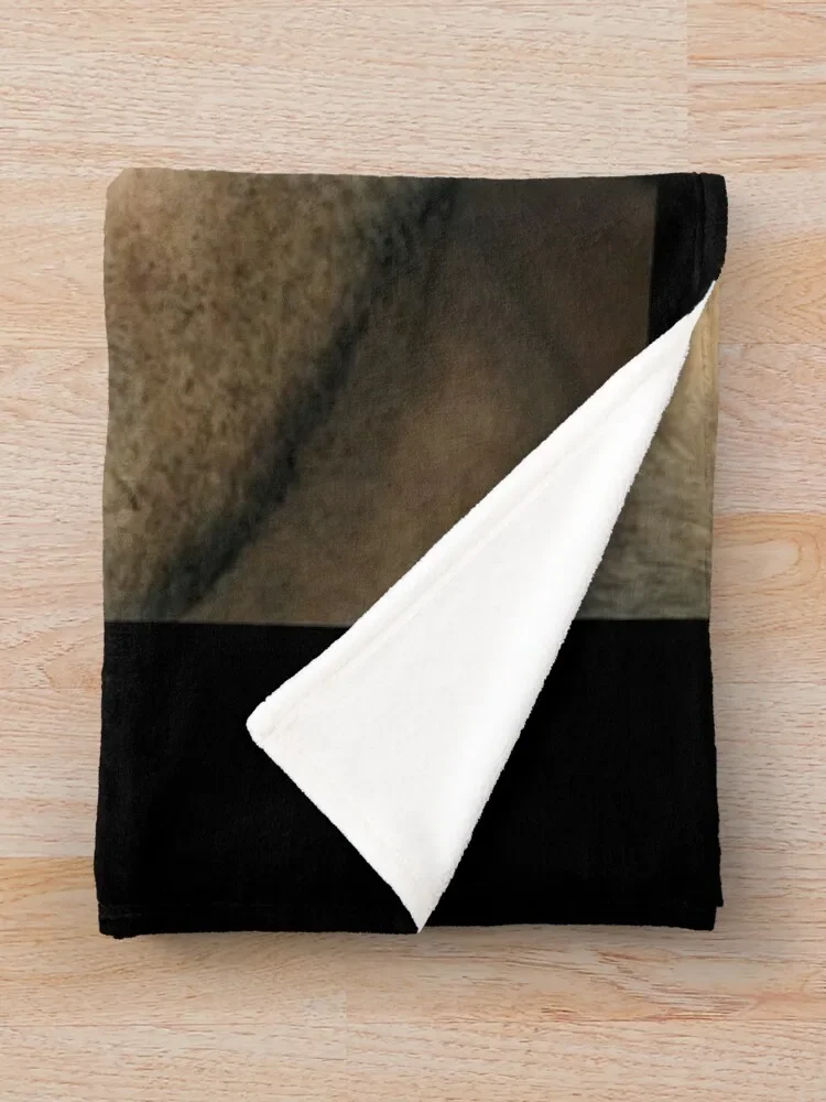 ������ ���ο� ���, ��Ʈ ��� �ö��� ���