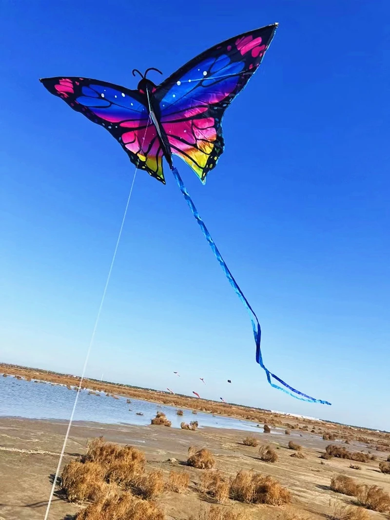 Colorful Butterfly Kids Kite 3