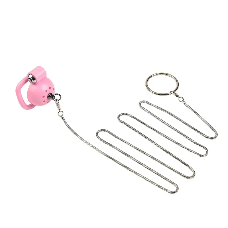 Male Penis Chastity Cage Set Birdie Chastity Cage with Padlock 5 Cock Rings Dick Bondage Slave Metal Catheter Men Sex Toys Gay