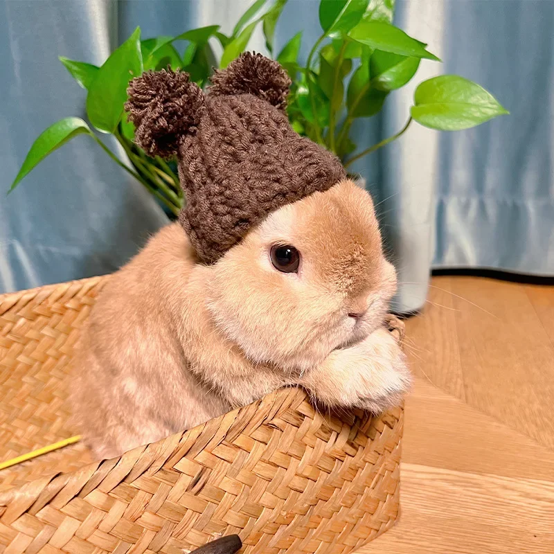 Rabbit Knitted Hat for Pet Rabbit Decorative Bunny Scarf Collar Small Animal Clothes Hat Guinea Pig Stuff Pet Accessories