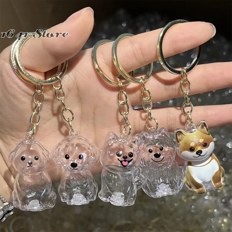 (신제품) 투명 강아지 털 기념 보관 캡슐 애완견 털 컨테이너 DIY 펜던트 키..