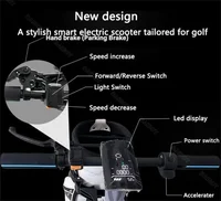 Scooter électrique puissant pour le golf, 10 pouces, pour adultes, double moteur, pliable, batterie amovible, démarrage par mot de passe 6