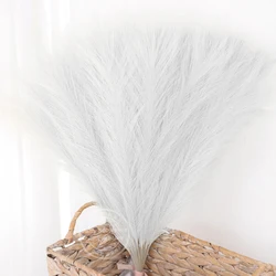 Artificial Pampas Grass Bouquet for Home and Wedding Decor - Elegant Dried Flower Arrangement 43cm (White)