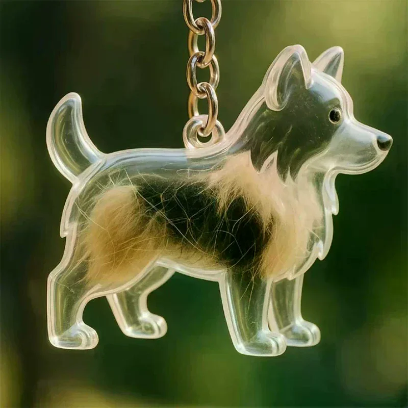Hund Haar Lagerung Schlüsselbund Tasche Anhänger Transparent Haustier Andenken Souvenir Sammlung Geschenk Dekoration Zubehör