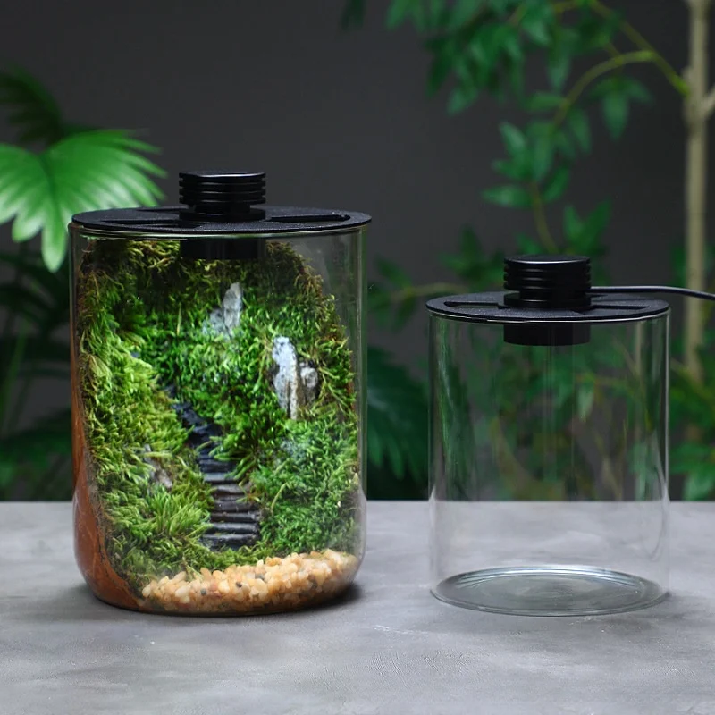 Modern Simplici Glass Bottle Lighting Lacape USB Powered Adjustable Ventilation Full Spectrum Light Cover with Hole Expo...