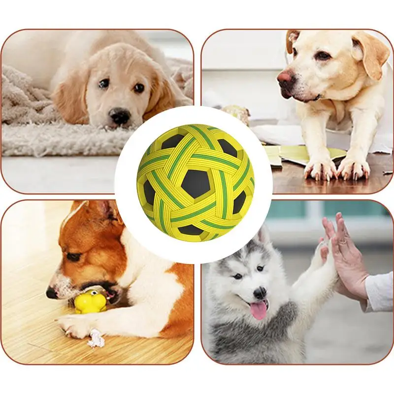Floating Dog Ball 5 Floating Dog Ball 5
