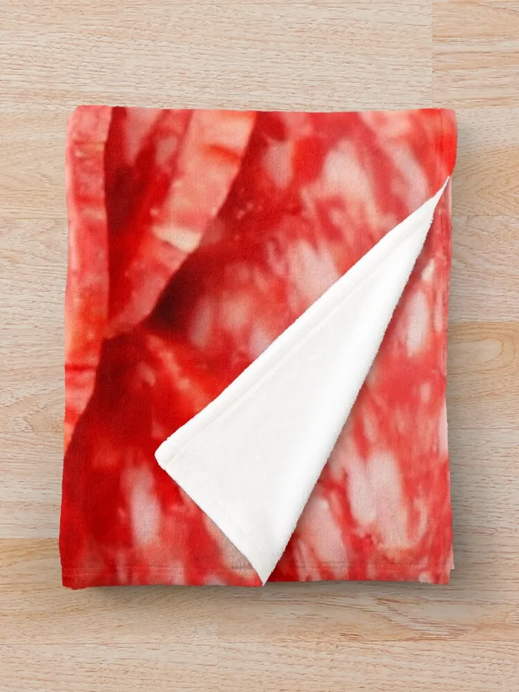 SALAMI �� ��ô ���, �ҷ��� �ڽ�����, �ִϸ��̼� ��ũ�� ���