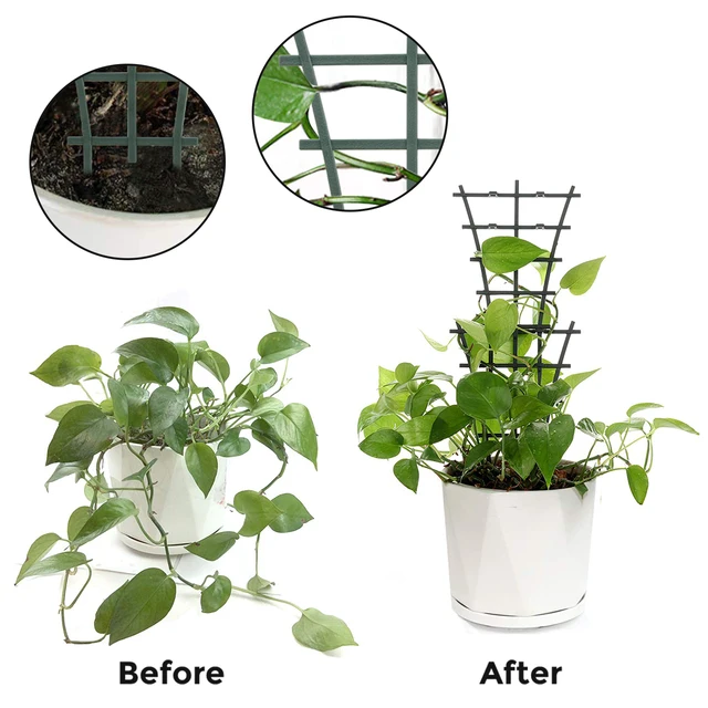 2 Pcs Növényi Hegymászó Rácsok Támogatják A Műanyag Egymásra Helyezett Cserepes Növény Szárát Beltéri Kültéri Szőlő Virágzöldségéhez - Image 4
