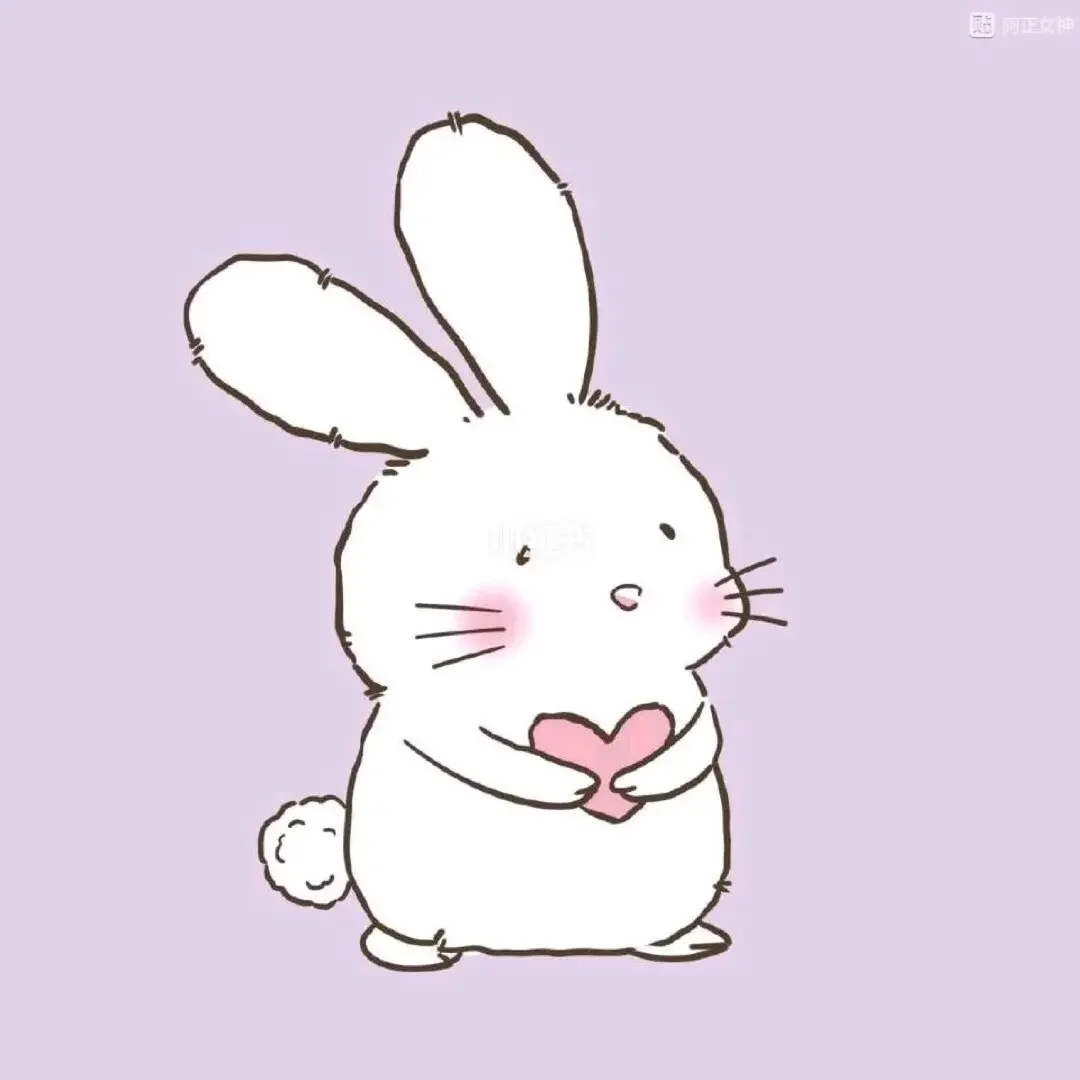 Anshiney Socks Store