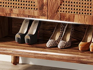 shoe storage cabinet shoes cabinet