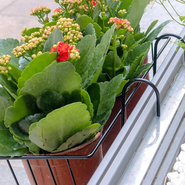 Erkély Kosarak Kültéri Edények Tornác Függő Virág Vas Virágcserepek Kerítés Fém Cserepes Állvány Téglalap Alakú Ültetvényes - Image 4