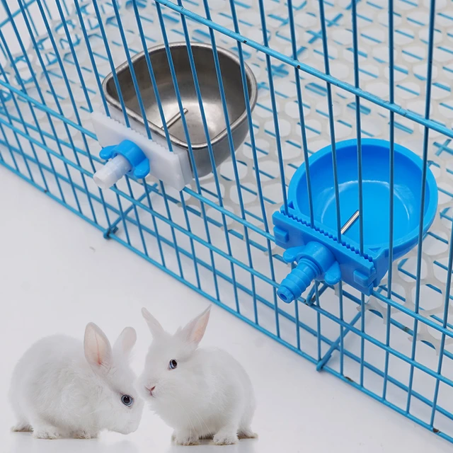 Bol à eau en plastique pour lapin, 2 pièces, abreuvoir automatique pour  ferme, Cage à lapin, tasse de fixation, bol pour élever le renard, vison -  AliExpress