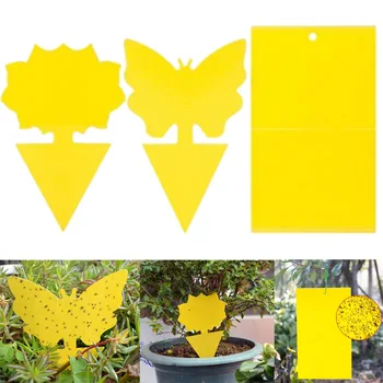 강력한 끈끈한 파리 트랩 스티커, 천연 해충 방제, 과일 파리 트랩, 곰팡이 그나트 곤충 캐처, 화분 정원 도구, 24x