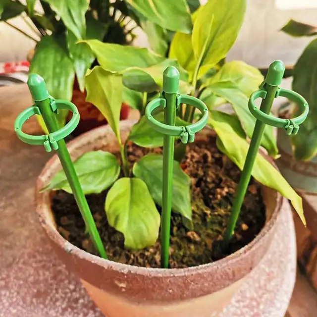 1 Beállított Kert Bonsai Tartó Állvány Rúd Virág Tét Zöldségek Növényi Cserepes Rudak Kerti Kiegészítők - Image 5