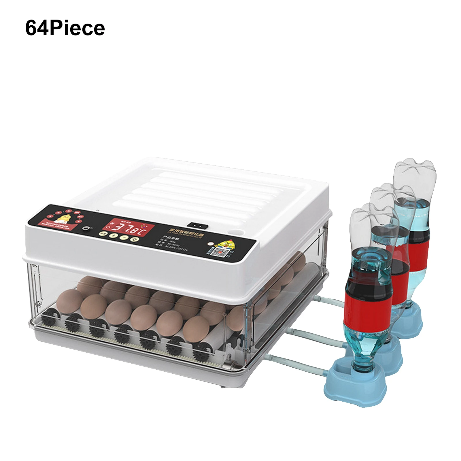 64 Eggs
