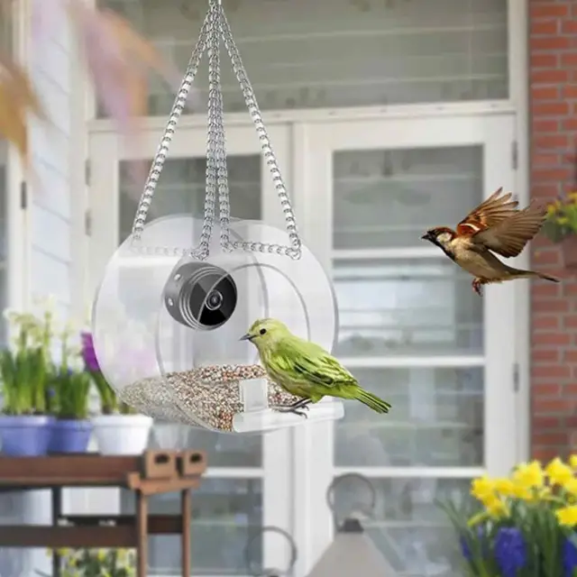 Mangeoire à oiseaux avec caméra, maison de mangeoires à oiseaux avec caméra  sans fil, WiFi, 1080p HD, 720p pour l'observation d'oiseaux en plein air