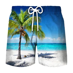 Coconut Tree Graphic Surfing Board Shorts Pants Men 3D Print Tropics Sea Island Beach Shorts Hawaii Swimsuit Ice Shorts Swimwear