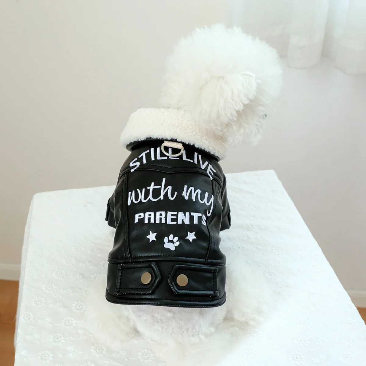 Pet Leather Fur Collar Fur Coat - PeticaDeals