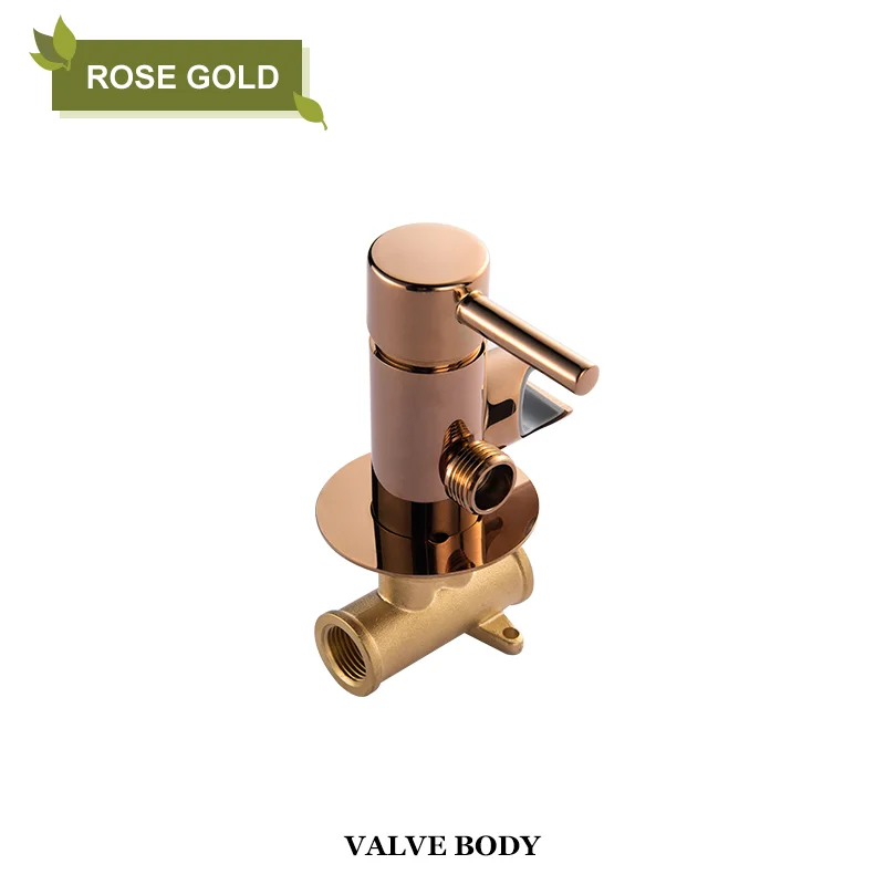 Rose Gold Valve Body