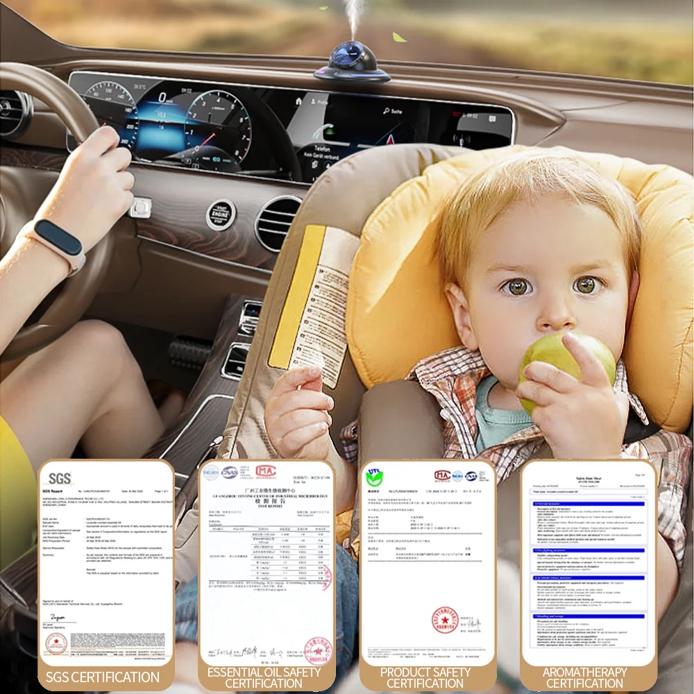 ڵ   ð ǻ, ڵ  û , ڵ Ʒθ ׶ ⱸ,  ڵ ׼