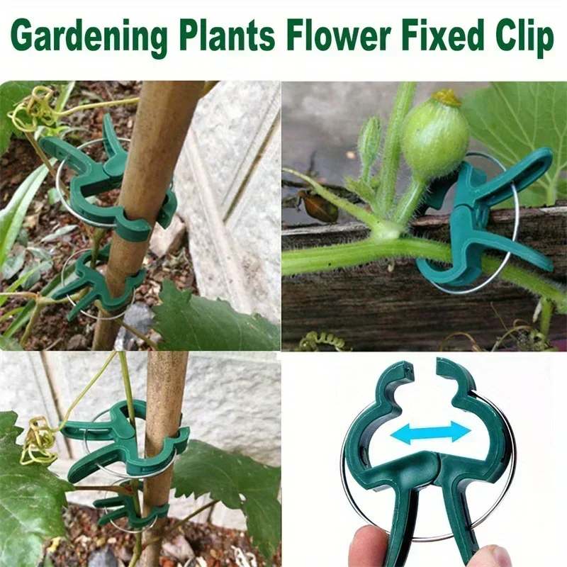 Durable Plastic Garden Plant Support Clips Green Lever Ring Clips Vines Organizing Stems & Branches 50pcs plastic plant clips plastic plant supports plant clips plant stem support plant support connector plant support stick