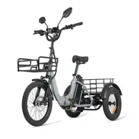 Tricycle électrique adulte CYSUM AG1 pro 750W 48V 20Ah Batterie Capacité de charge 50KG Tricycle électrique pliable pour les trajets urbains 3