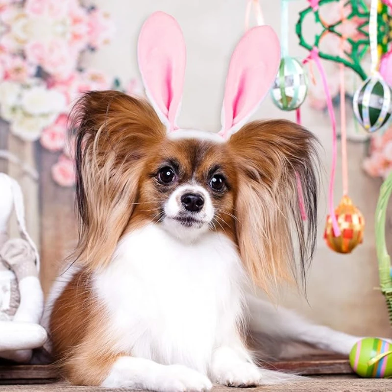 1-15PCS Easter Pet Hair Bands Easter Bunny Ears Headpiece Cute Carrot Hair Band Pet Easter Party Costume Accessories 4