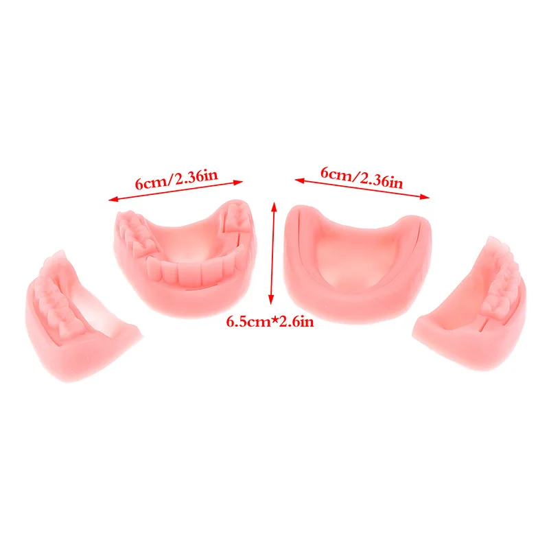 치과 봉합술 훈련 모델 실리콘 구강 잇몸 연습 봉합 시뮬레이션 수술 도구 (치과 실험실 학생 초보자용)
