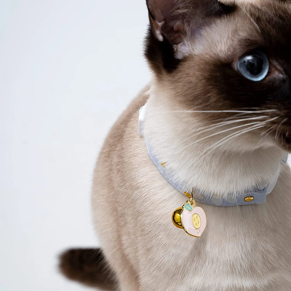 peach kitten collar