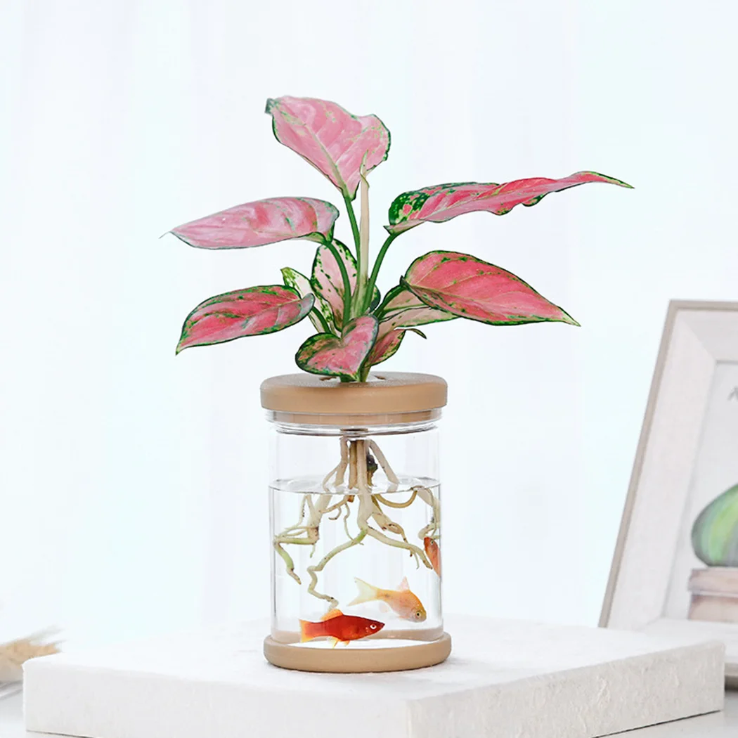 

2PCS Plant Pots Lazy transparent flower pot Transparent pot Automatic water-absorbing flowerpot Imitation glass