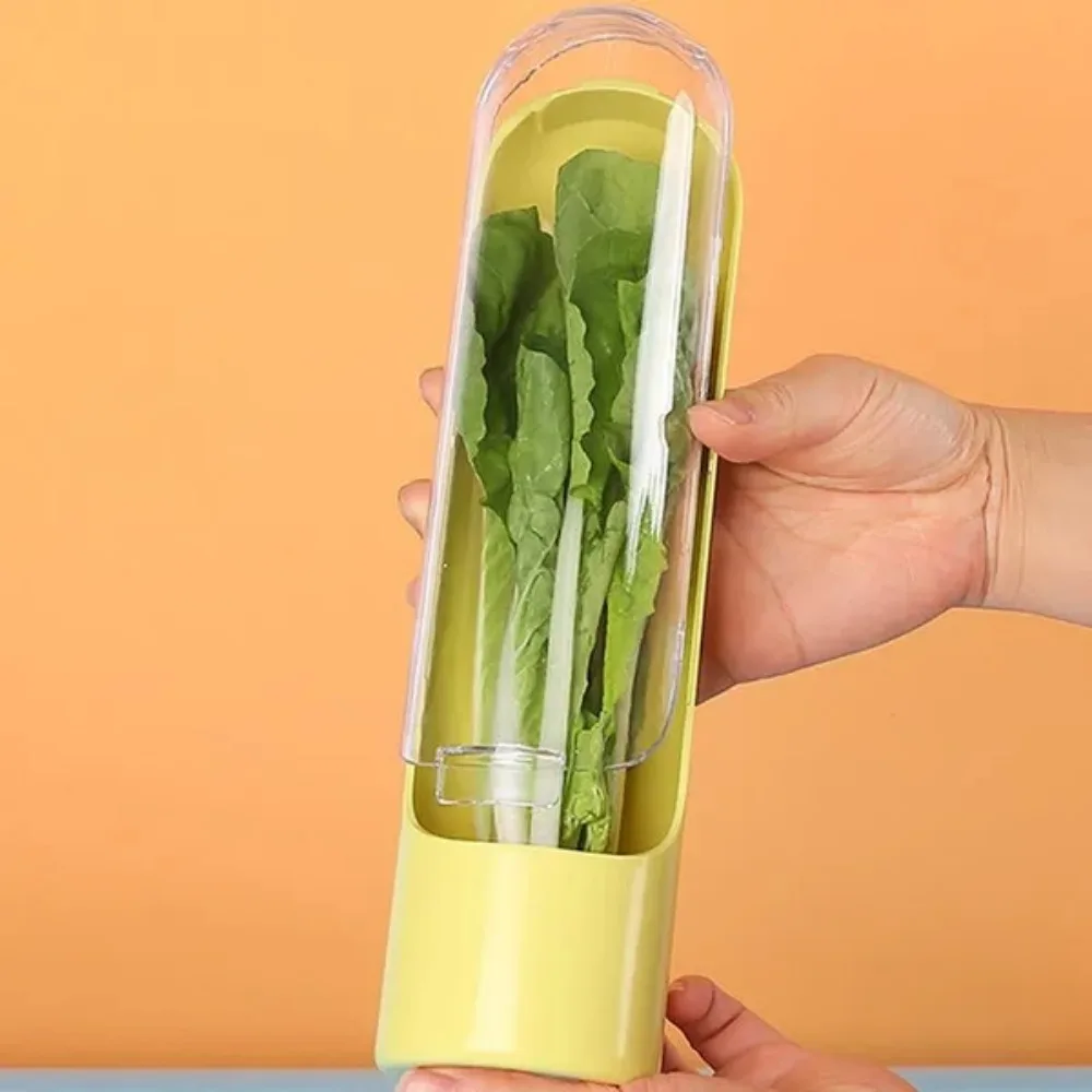2Pcs Refrigerator Fresh Keeper for Vegetable Herbs Saver Storage Parsley Cilantro Containers 3