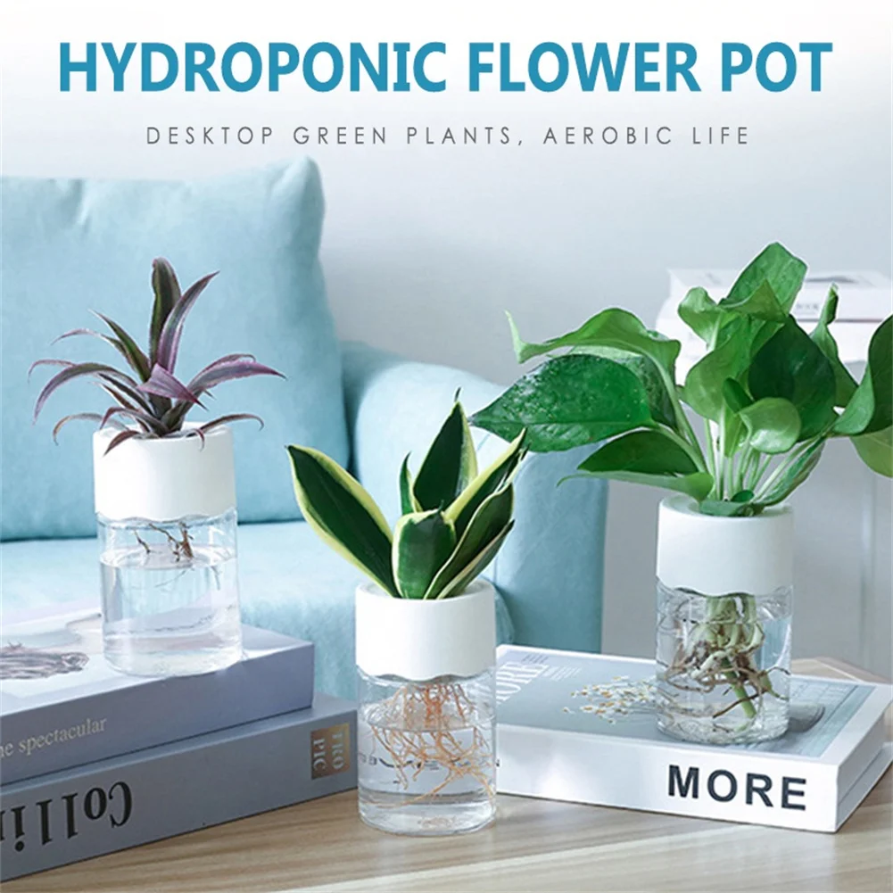 

Plant Pot Hydroponic Plant Pots Water Planting Vase Plastic Transparent Stylish Container Flower Pots And Planters