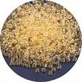 Gold 10