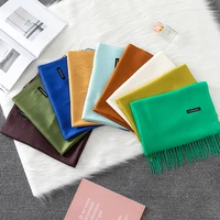 Luxury Soild Imitation Cashmere Winter Warm Women Scarf Long Shawl and Wraps Hijab Store Pashmina Female Foulard Head Scarves - Image 5