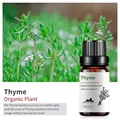 Thyme