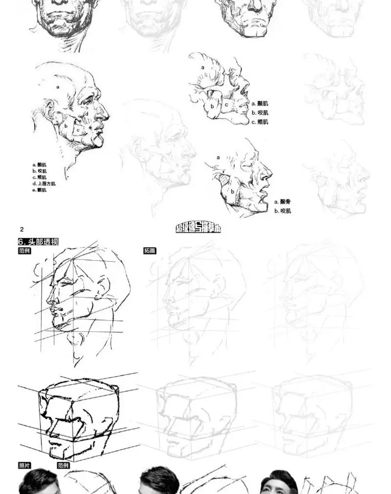 livro estrutura do corpo humano características faciais esboçar cópia tutorial