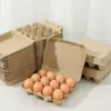 Egg Cartons Paper Pulp Empty Egg Cartons 3x4 Style Reusable Cardboard Egg Cartons Multipurpose Egg Carton Trays for Kitchen 2