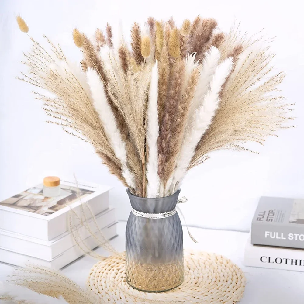 75 Pack Dried Reeds Natural Plants Small Pampas | Sunsla