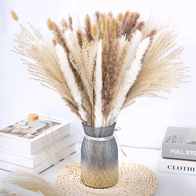 75 Pack Dried Reeds Natural Plants Small Pampas