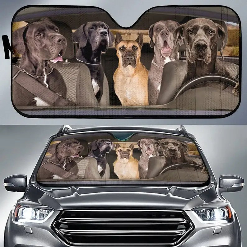 

Great Dane Dogs 5 Automatic Sun Shade, Dog Design, Car Sun Shade, Car Decor, Custom Printing, Car Accessories, Guard Dogs