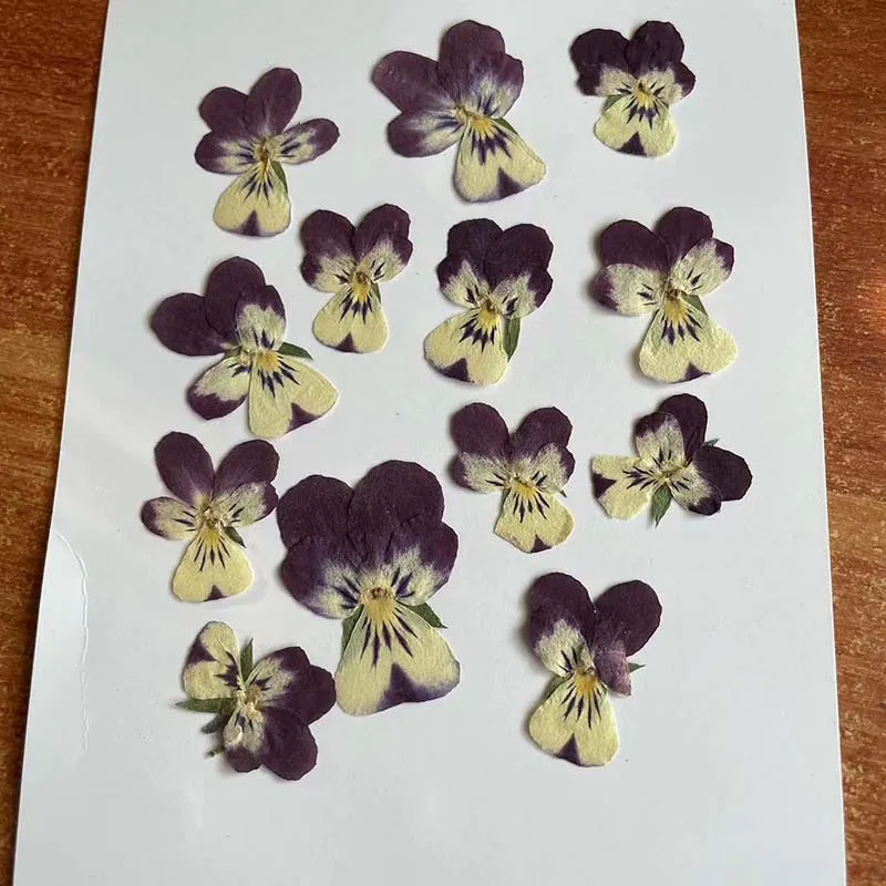 Slide image f9a2fca81a6f4380a36fdaab75dda1e3