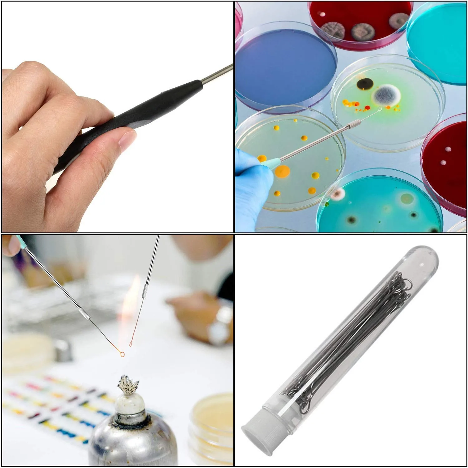 Nickel-Chrom-Draht-Inoculation-Schleife, Inenting-Schleife, Mykologie, Nichrom-Ring, geeignet für Laboratorien, Agar-Platte – Detail 4