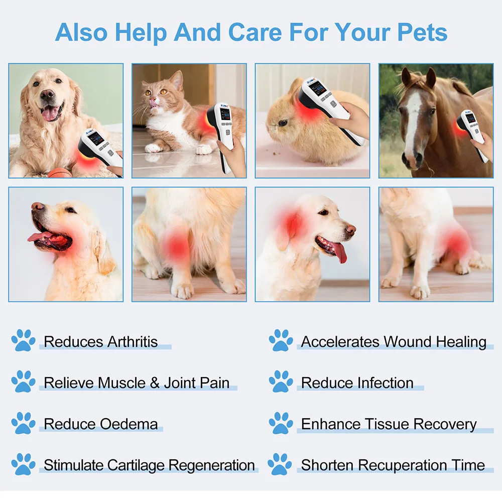 Рисунок 5 - Оборудование для физиотерапии ZJZK