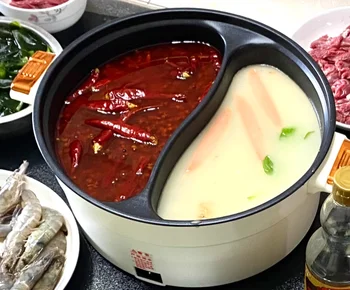 Royalstar Electric Hot Pot 1