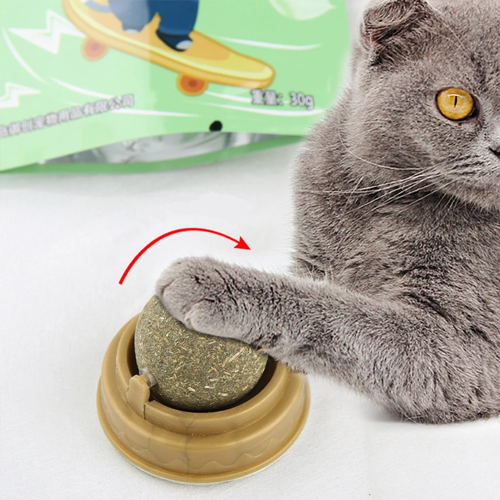 Rotatable Edible Catnip Ball Stick 3