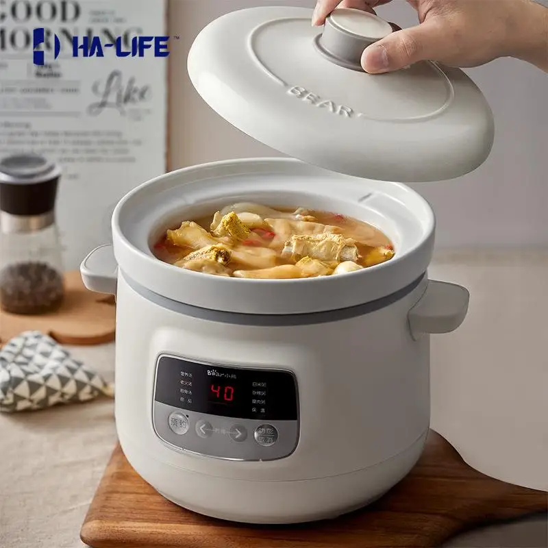 HA Life DDG D30H5 Electric Stew Pot Kitchen Multi function Household