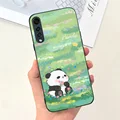 Case-c51