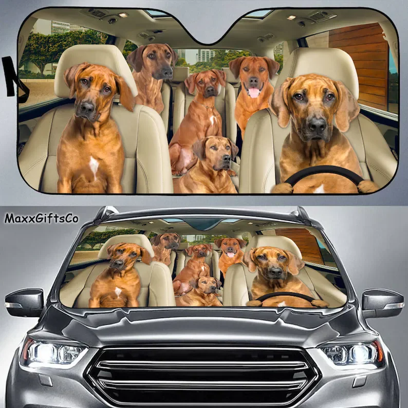 Parasole Per Auto Ridgeback Rodesiano, Parabrezza Ridgeback Rodesiano, Parasole Per Famiglie Di Cani, Accessori Per Auto Per Cani, Decorazione Per Aut