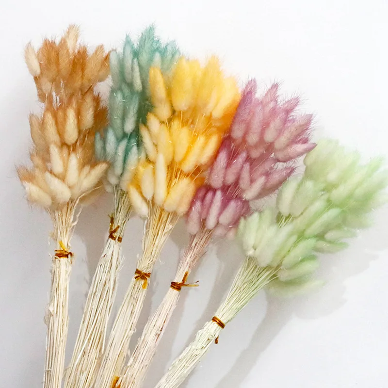 

30/60pcs Dried Lagurus Grass Natural Fluffy Dry Pampas Bouquet for Home Decoration Dried Flower Rabbit Tail Wedding Arrangement