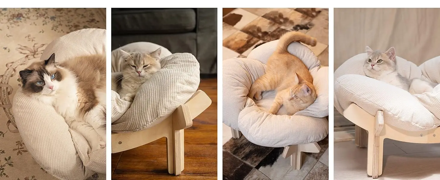 cat bed